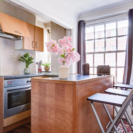 Cozy Studio In Central London Apartment Екстериор снимка